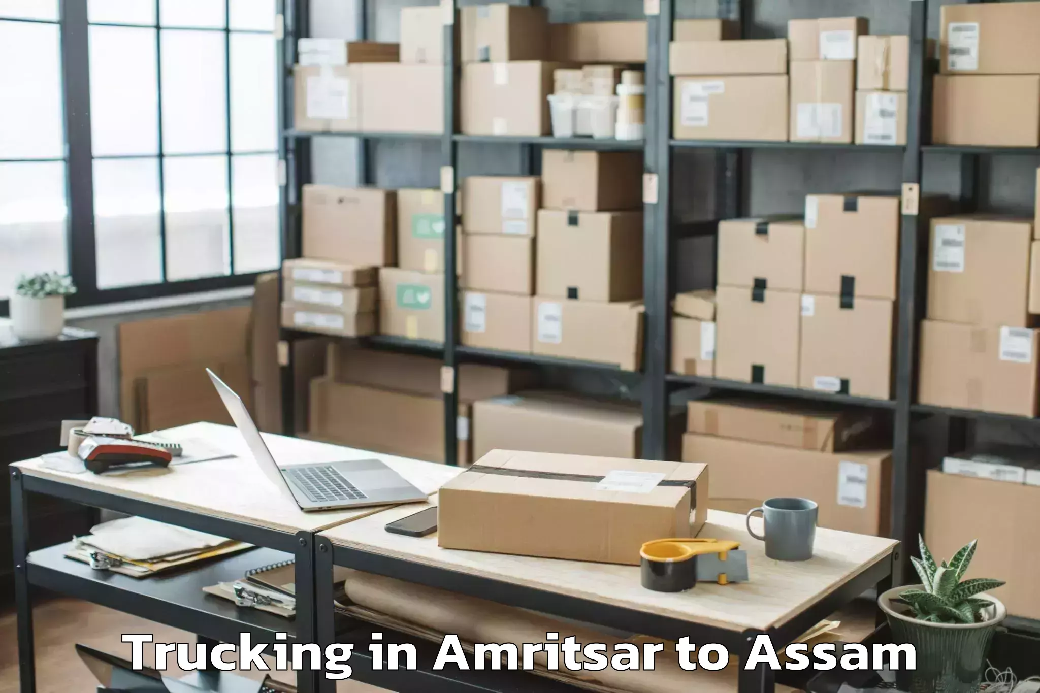 Easy Amritsar to Patharighat Trucking Booking